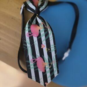 Lot Of Pet Collars (For Small Pets)